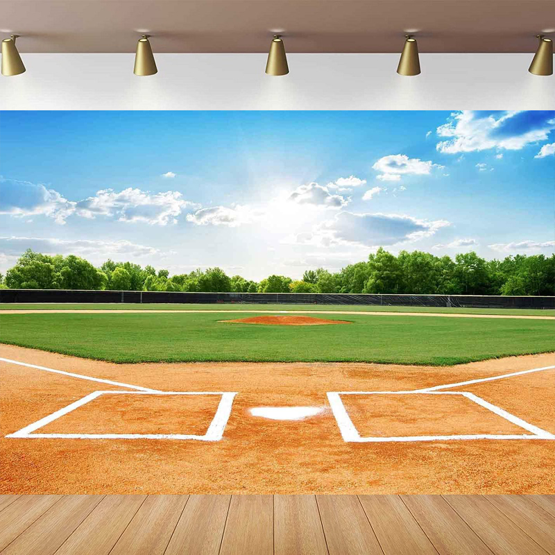 Baseball Field Photography Bac - Outdoor Sport Background avis et prix